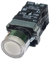 LAY5-BW3165 - кнопка с белой LED подсветкой AC230V, 1НР+1НЗ